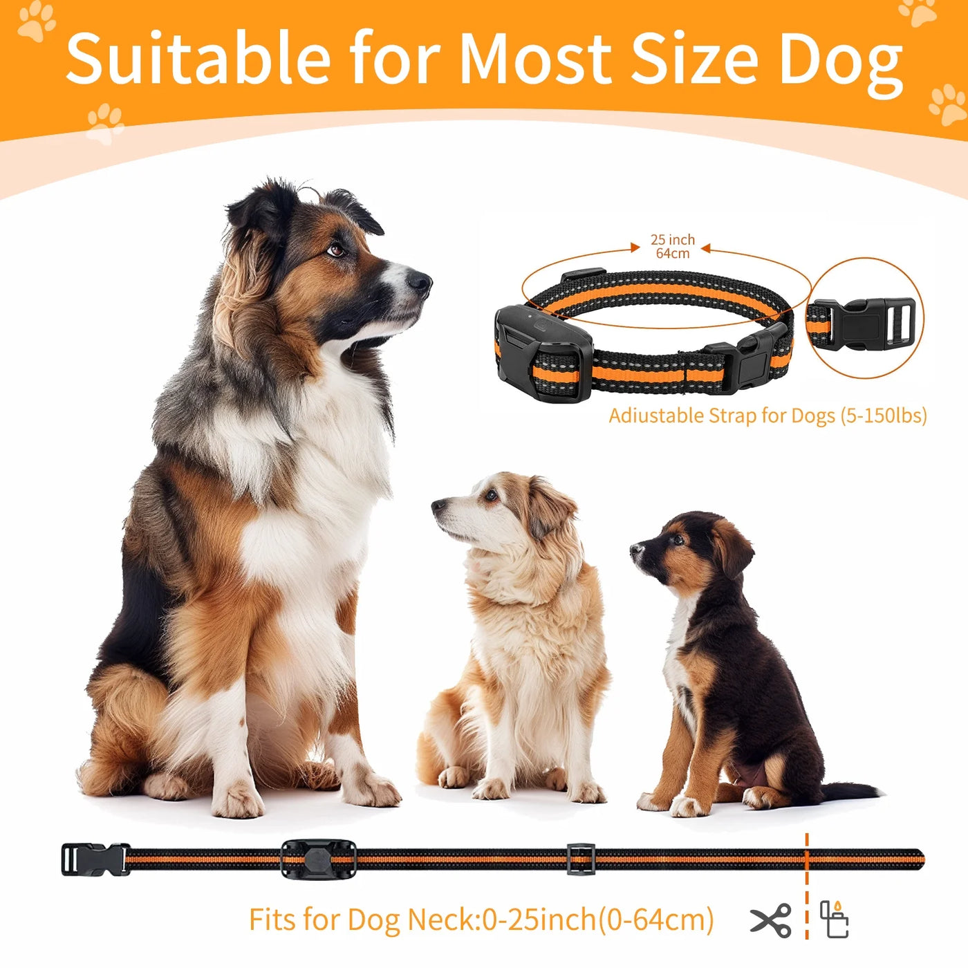 Dual Dog Training Collar with Remote - 3300ft Range