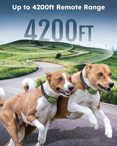 Dog Training Collar for 2 Dogs with Remote - 4200FT Range