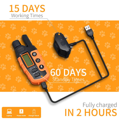 Dual Dog Training Collar with Remote - 3300ft Range