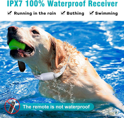 Waterproof Dog Training Collar for 2 Dogs with Remote Control