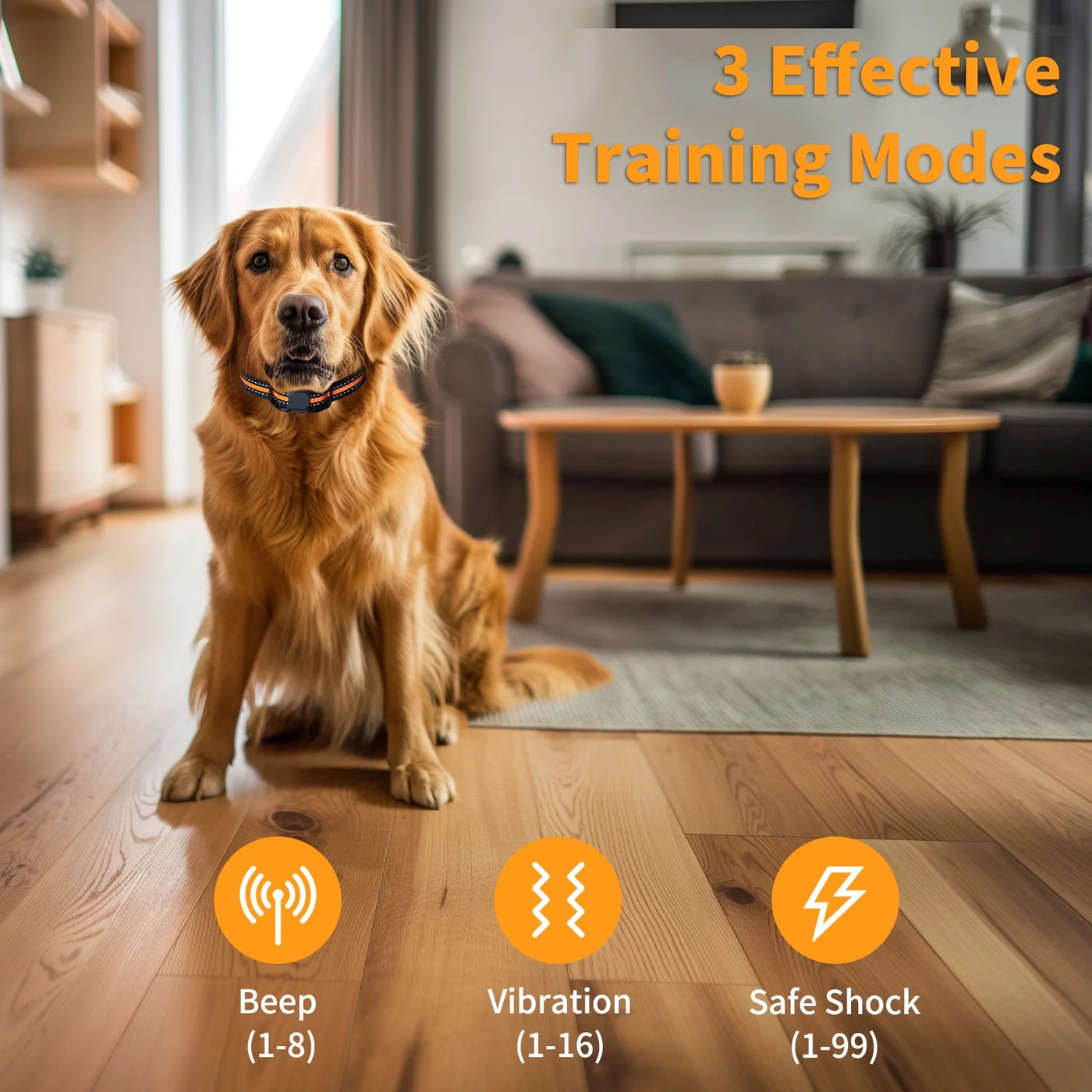 Dual Dog Training Collar with Remote - 3300ft Range