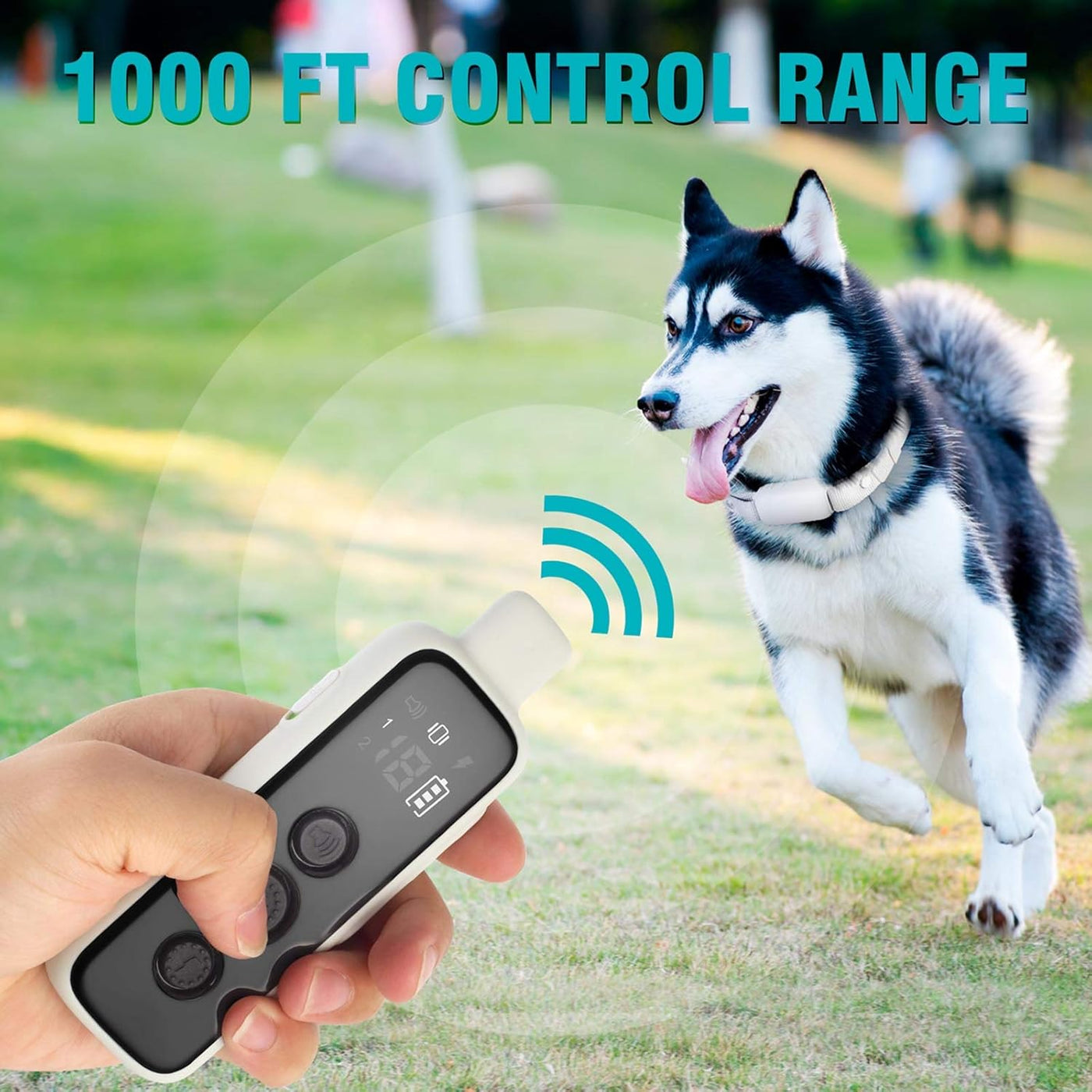 Waterproof Dog Training Collar for 2 Dogs with Remote Control