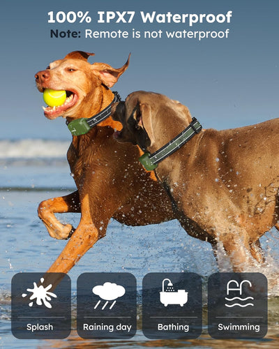 Dog Training Collar for 2 Dogs with Remote - 4200FT Range