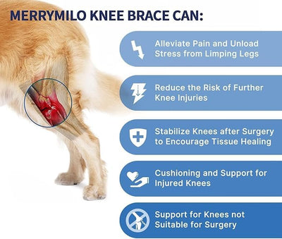 Dog Knee Brace for Torn ACL/CCL - Hind Leg Support Brace for Large Dogs