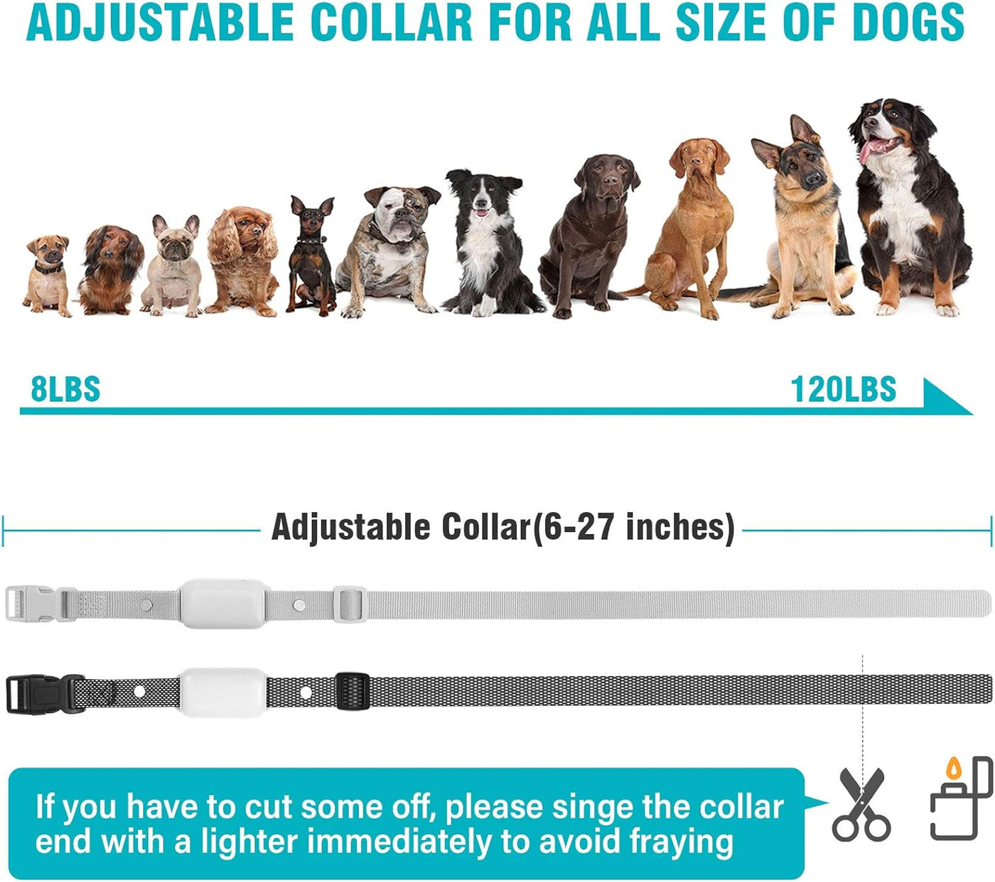 Waterproof Dog Training Collar for 2 Dogs with Remote Control