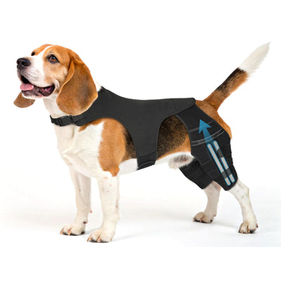 Dog Knee Brace with 4 Metal Stabilizers - Adjustable Hind Leg Support for ACL/CCL Injuries