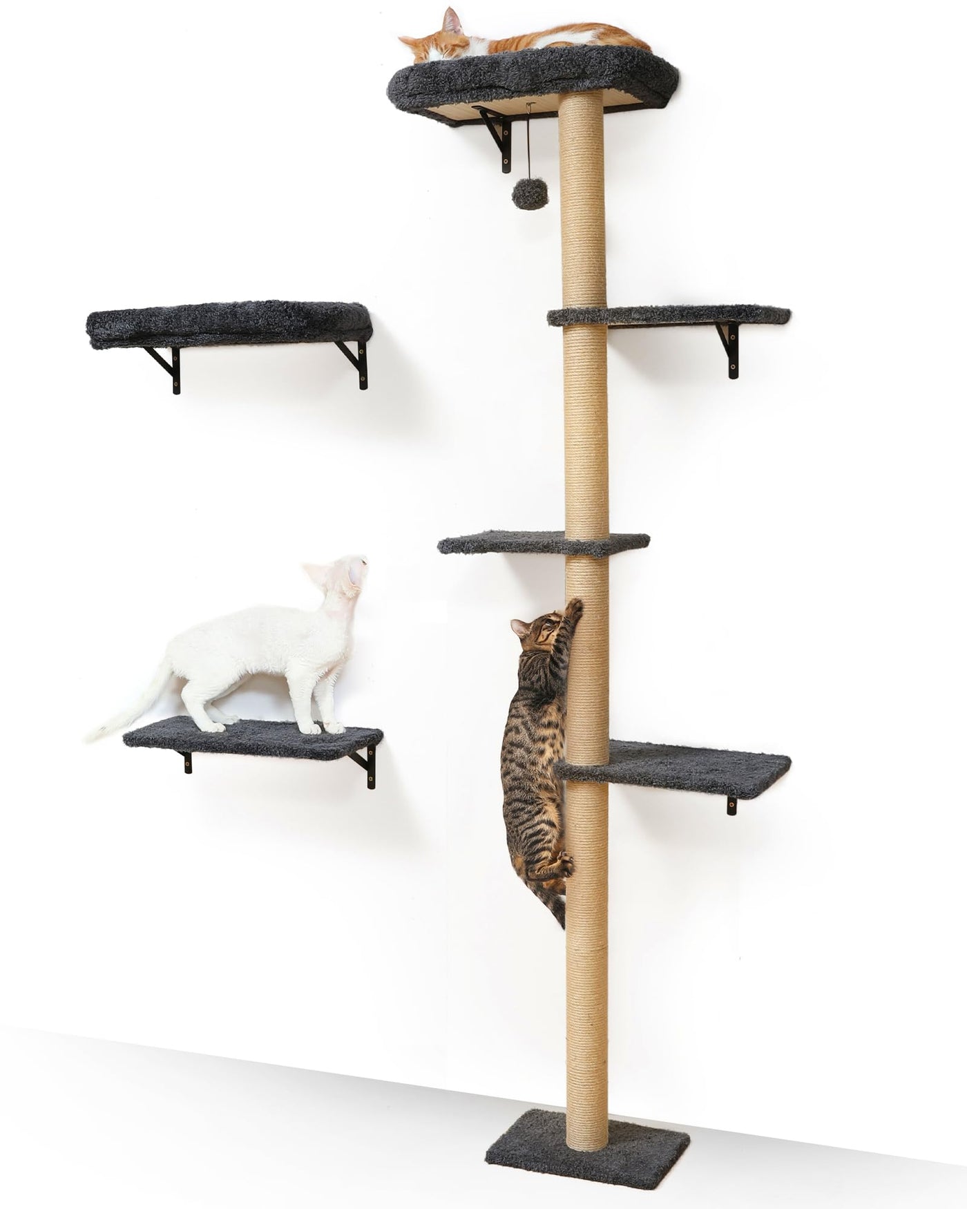 Cat Wall Shelves - 3-in-1 Wooden Wall Mounted Furniture Set with Scratching Post