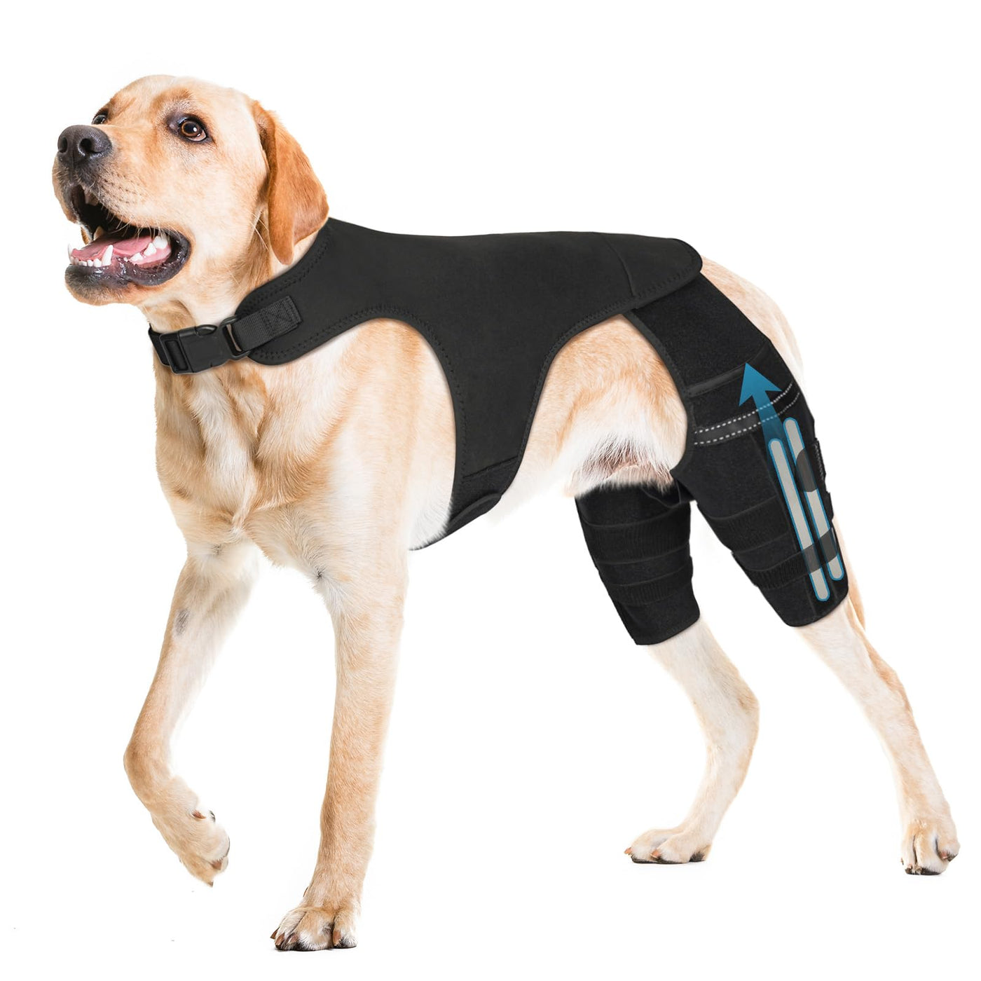 Dog Knee Brace with 4 Metal Stabilizers - Adjustable Hind Leg Support for ACL/CCL Injuries