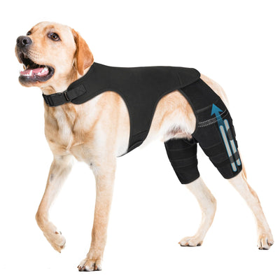Dog Knee Brace with 4 Metal Stabilizers - Adjustable Hind Leg Support for ACL/CCL Injuries