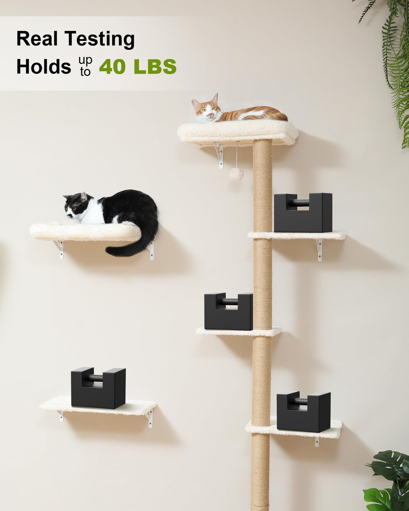 Cat Wall Shelves - 3-in-1 Wooden Wall Mounted Furniture Set with Scratching Post