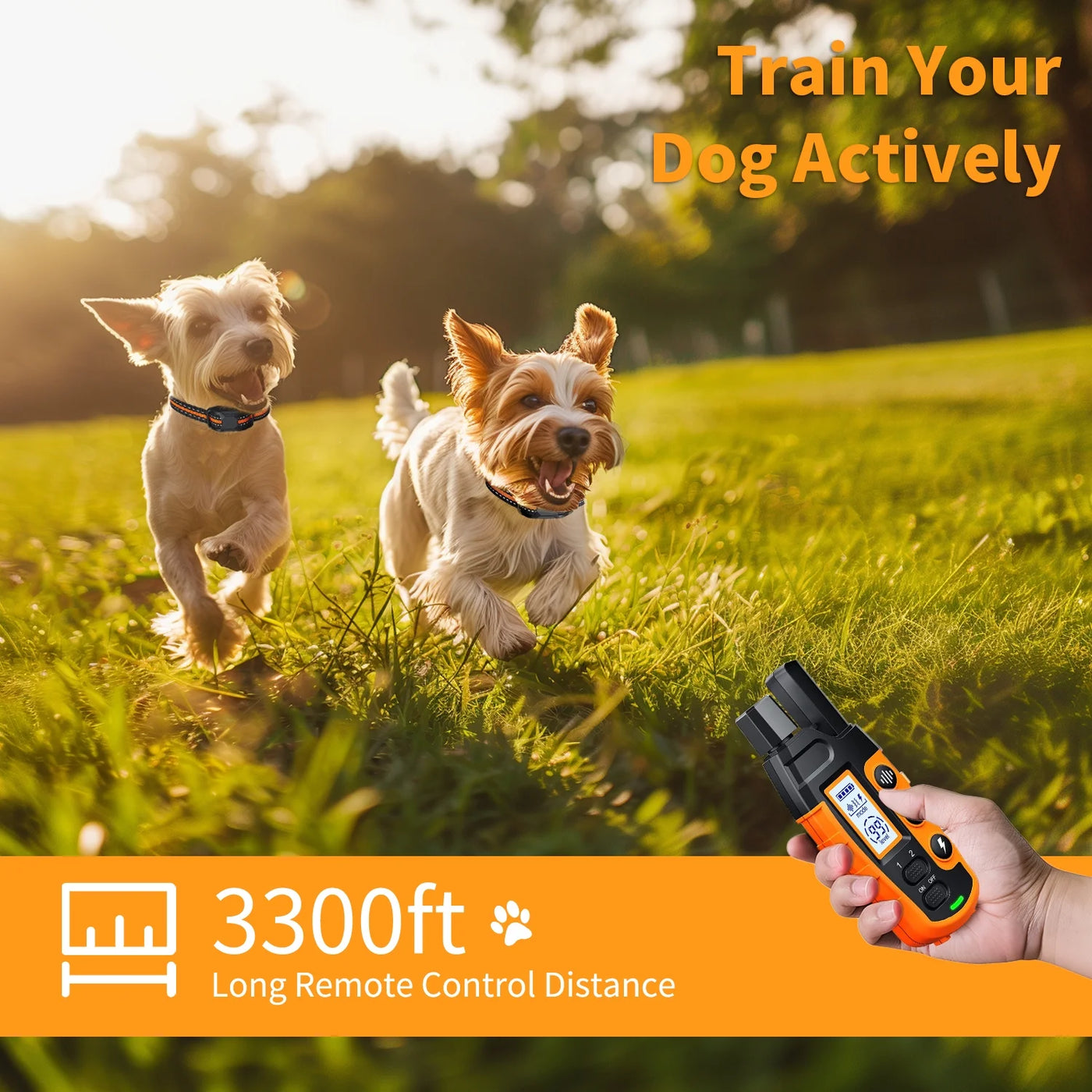 Dual Dog Training Collar with Remote - 3300ft Range