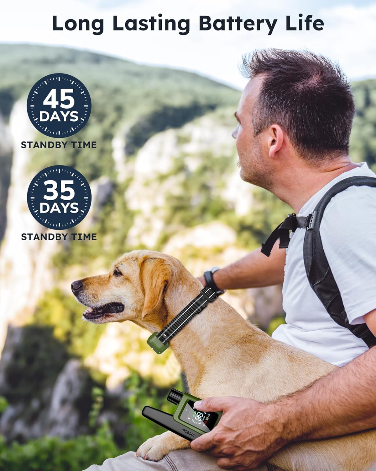 Dog Training Collar for 2 Dogs with Remote - 4200FT Range