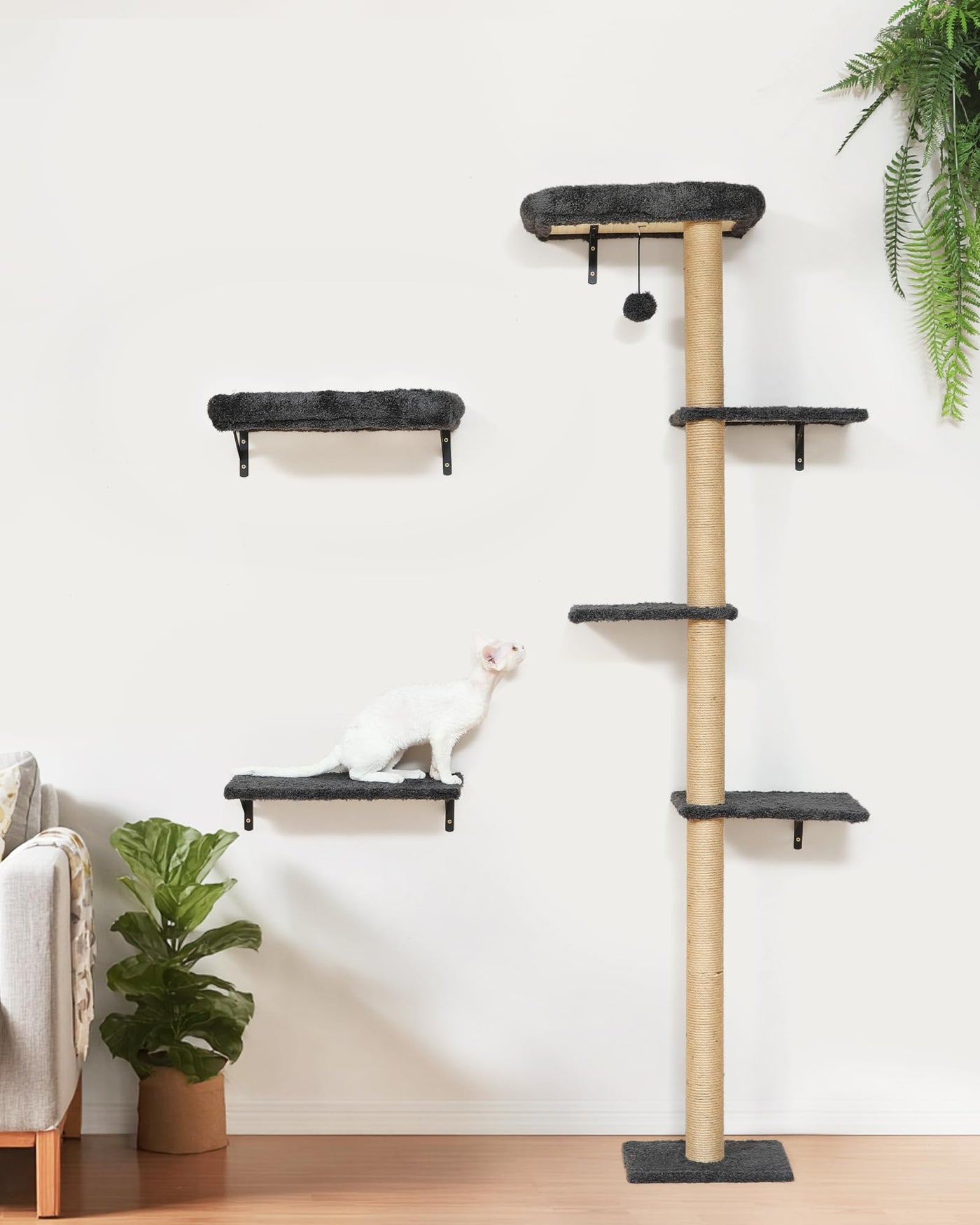 Cat Wall Shelves - 3-in-1 Wooden Wall Mounted Furniture Set with Scratching Post