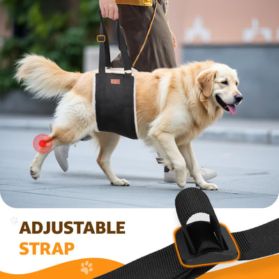 Dog Lift Harness for Hind Legs - Adjustable Support Sling for Large Dogs & Senior Pets