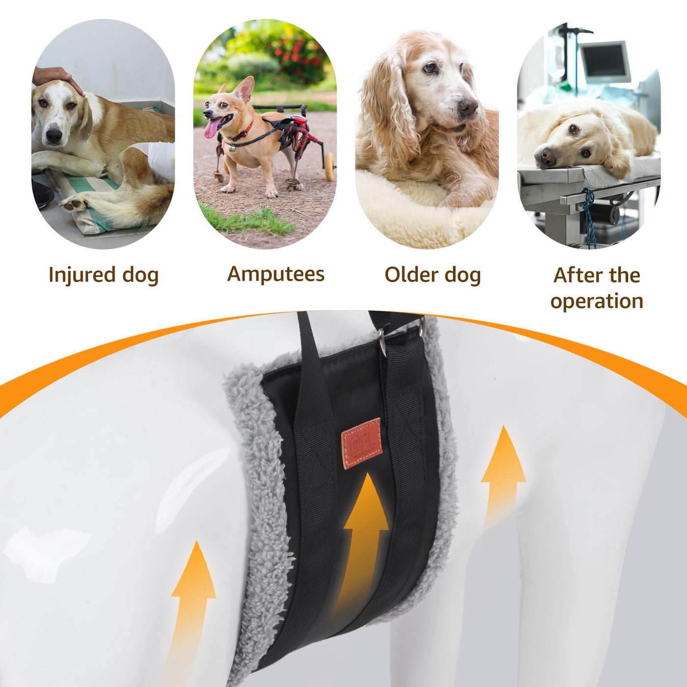 Dog Lift Harness for Hind Legs - Adjustable Support Sling for Large Dogs & Senior Pets