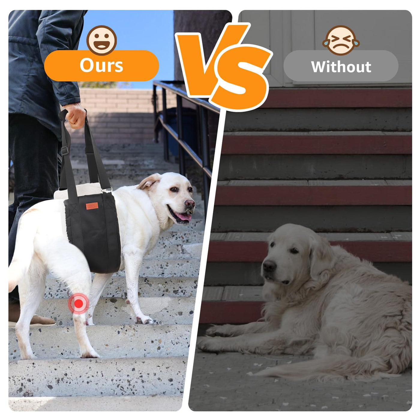 Dog Lift Harness for Hind Legs - Adjustable Support Sling for Large Dogs & Senior Pets