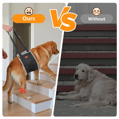 Dog Lift Harness for Hind Legs - Adjustable Support Sling for Large Dogs & Senior Pets