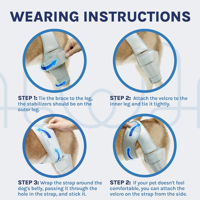 Dog Knee Brace for Torn ACL/CCL - Hind Leg Support Brace for Large Dogs