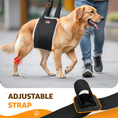 Dog Lift Harness for Hind Legs - Adjustable Support Sling for Large Dogs & Senior Pets