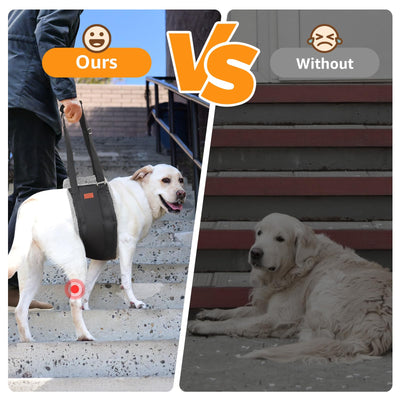 Dog Lift Harness for Hind Legs - Adjustable Support Sling for Large Dogs & Senior Pets