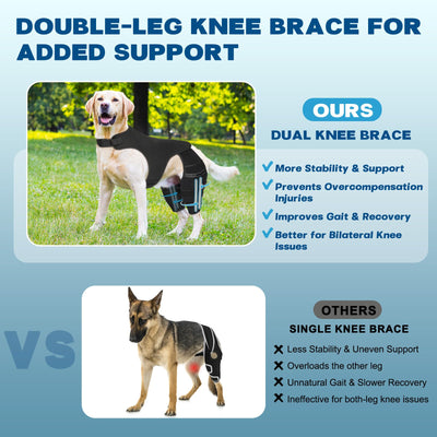 Dog Knee Brace with 4 Metal Stabilizers - Adjustable Hind Leg Support for ACL/CCL Injuries