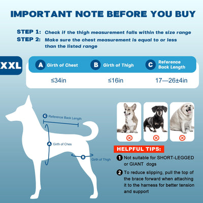 Dog Knee Brace with 4 Metal Stabilizers - Adjustable Hind Leg Support for ACL/CCL Injuries