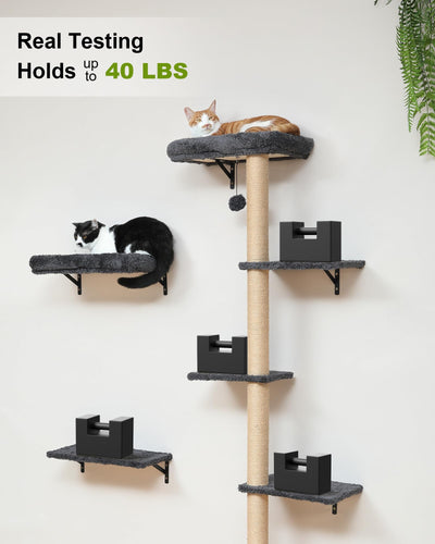 Cat Wall Shelves - 3-in-1 Wooden Wall Mounted Furniture Set with Scratching Post