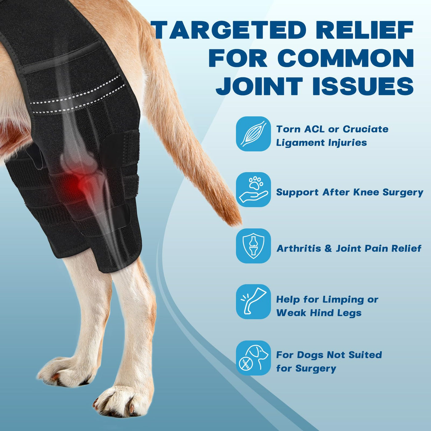 Dog Knee Brace with 4 Metal Stabilizers - Adjustable Hind Leg Support for ACL/CCL Injuries