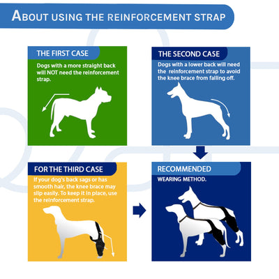 Dog Knee Brace for Torn ACL/CCL - Hind Leg Support Brace for Large Dogs