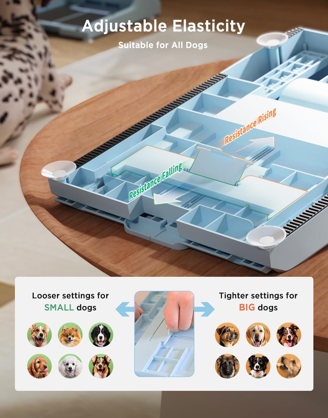 Dog Nail File Toy with 2 Dog Treat Puzzle, Interactive Dog Enrichment Toys for IQ Training, Dog Scratch Pad for Nails, Slow Feeder and 2 Level in 1 Dog Puzzle,Sandpaper Replaceable
