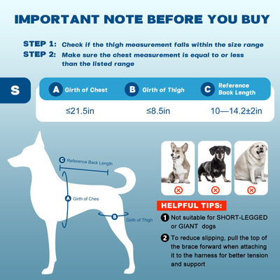 Dog Knee Brace with 4 Metal Stabilizers - Adjustable Hind Leg Support for ACL/CCL Injuries