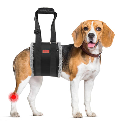 Dog Lift Harness for Hind Legs - Adjustable Support Sling for Large Dogs & Senior Pets