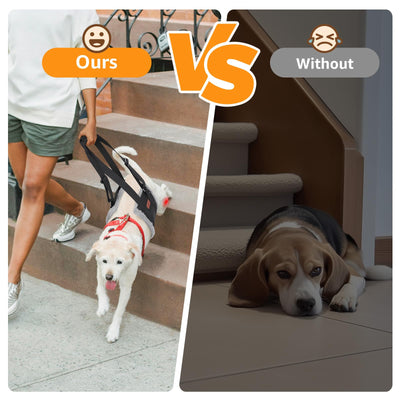 Dog Lift Harness for Hind Legs - Adjustable Support Sling for Large Dogs & Senior Pets