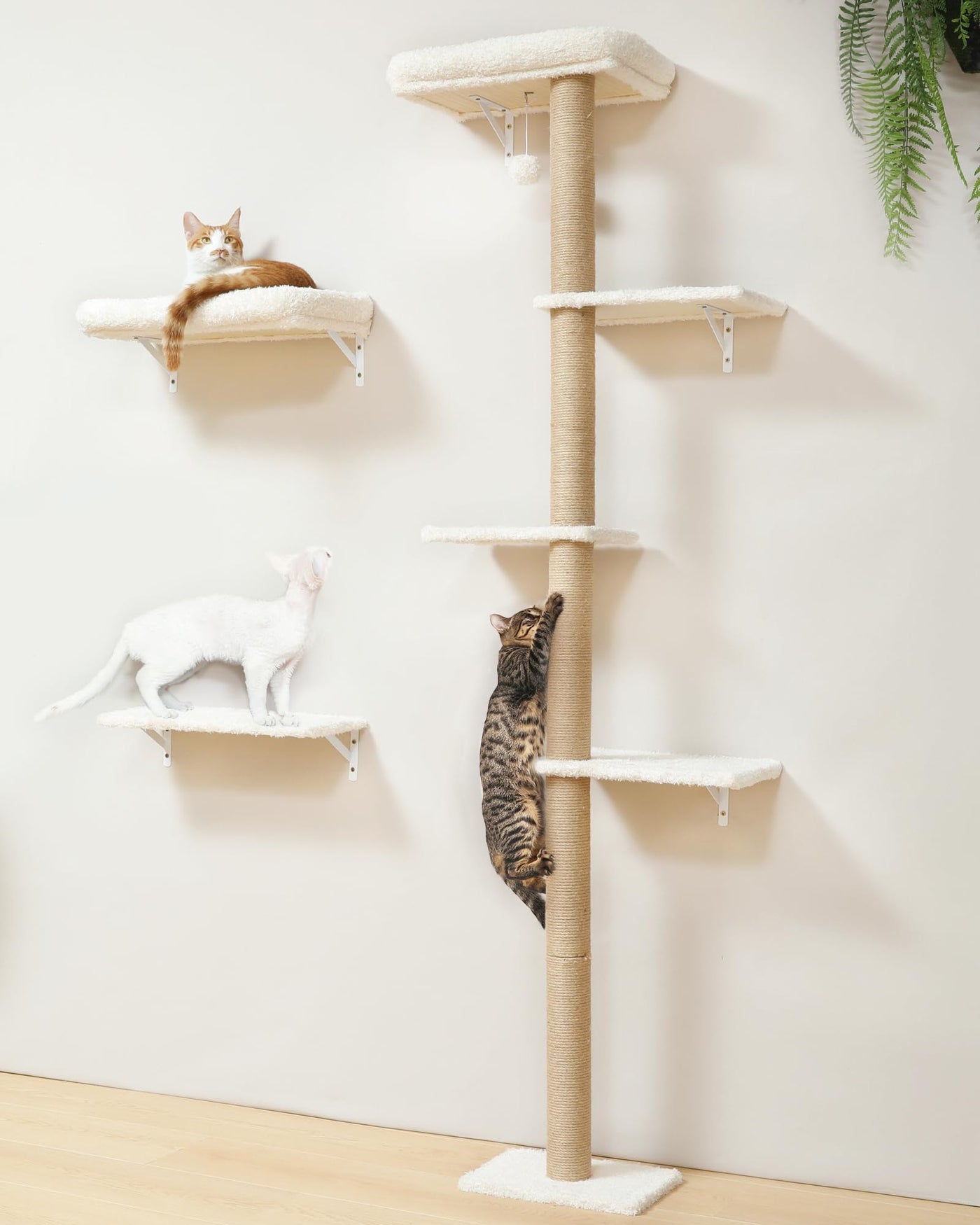 Cat Wall Shelves - 3-in-1 Wooden Wall Mounted Furniture Set with Scratching Post