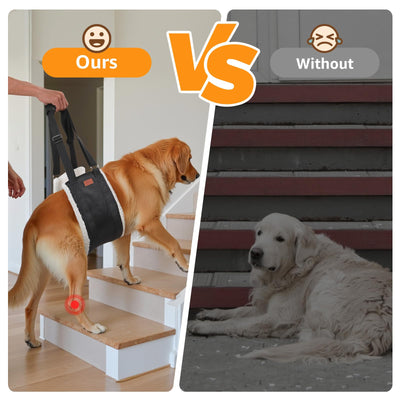Dog Lift Harness for Hind Legs - Adjustable Support Sling for Large Dogs & Senior Pets
