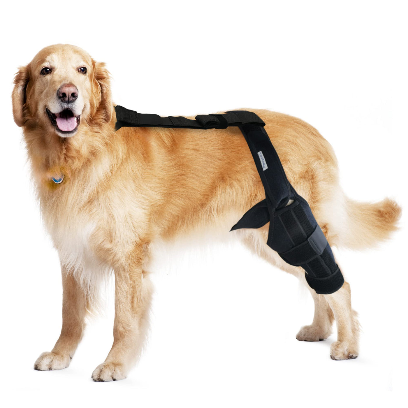 Dog Knee Brace for Torn ACL/CCL - Hind Leg Support Brace for Large Dogs