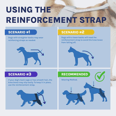 Dog Knee Brace for Torn ACL/CCL - Hind Leg Support Brace for Large Dogs