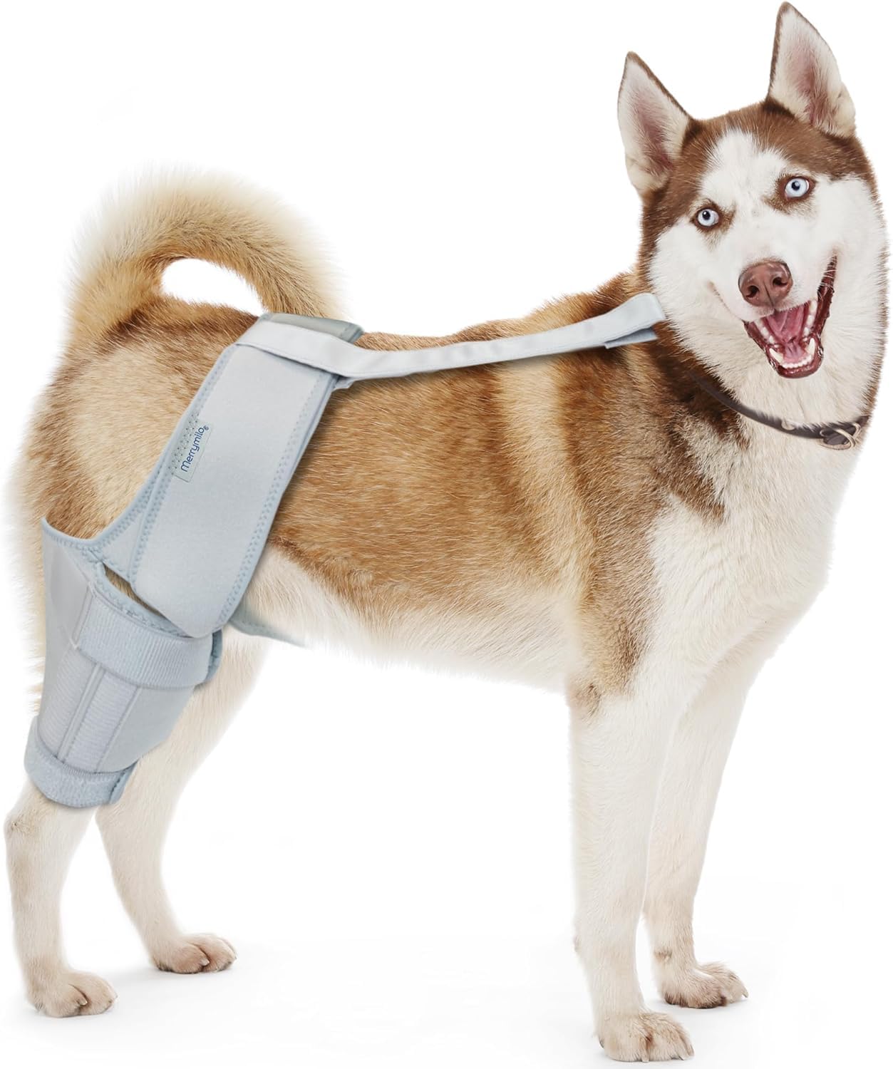 Dog Knee Brace for Torn ACL/CCL - Hind Leg Support Brace for Large Dogs