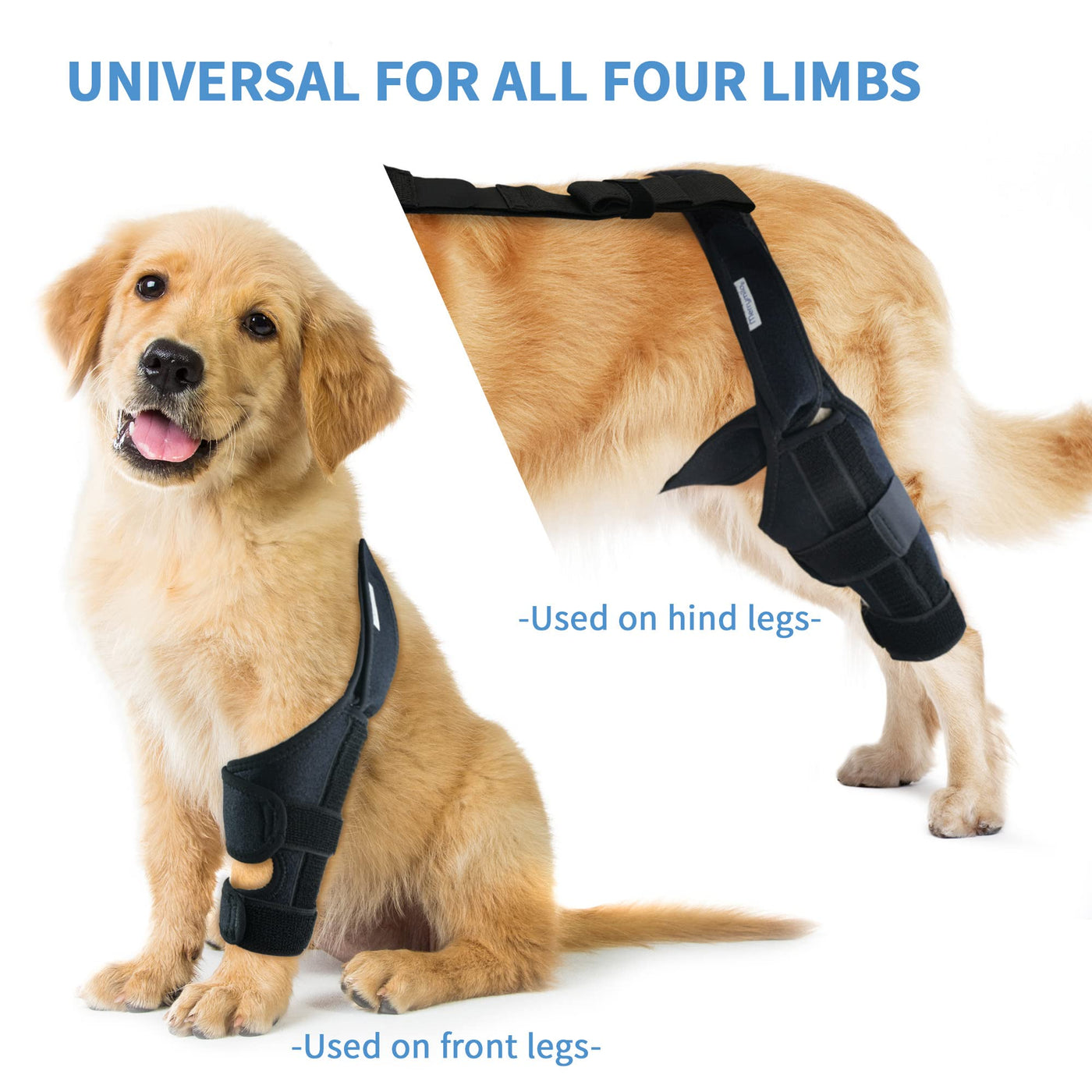 Dog Knee Brace for Torn ACL/CCL - Hind Leg Support Brace for Large Dogs