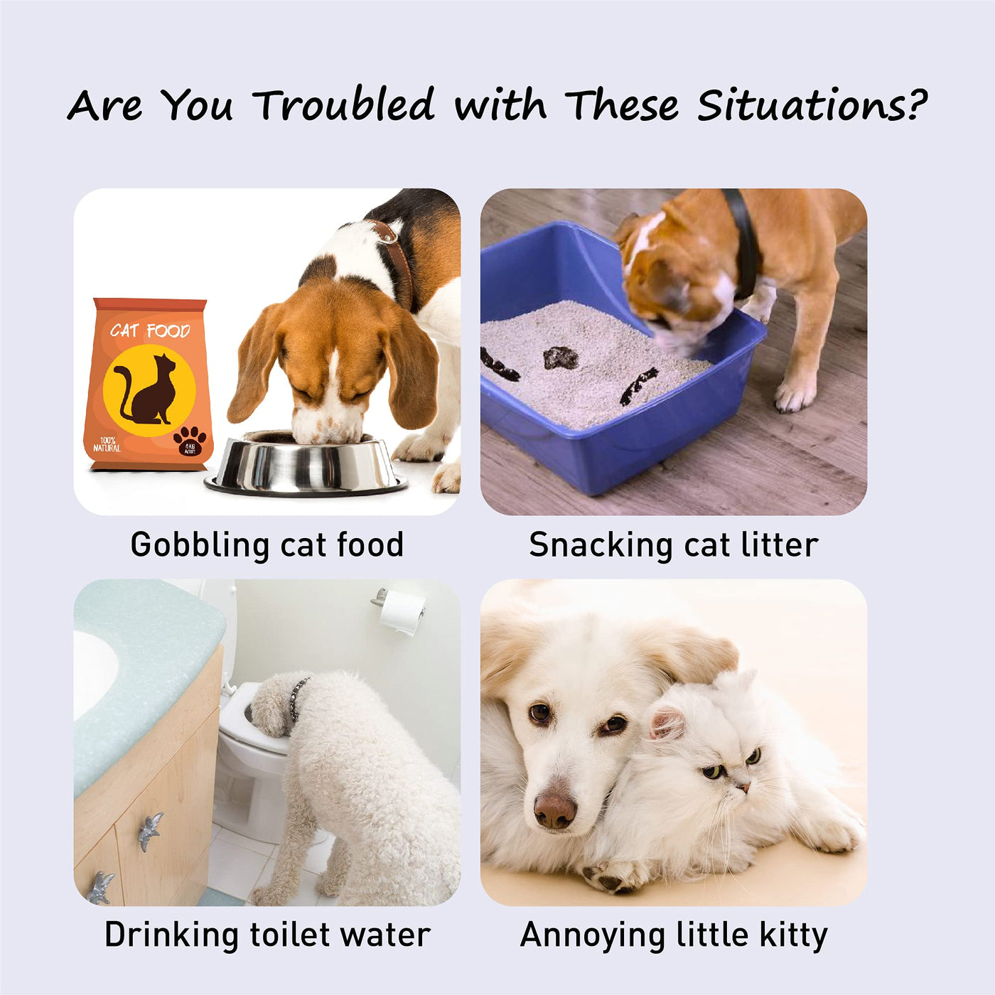 Adjustable Door Strap & Latch for Cats - Dog Proof Litter Box Door Holder Alternative to Pet Gate