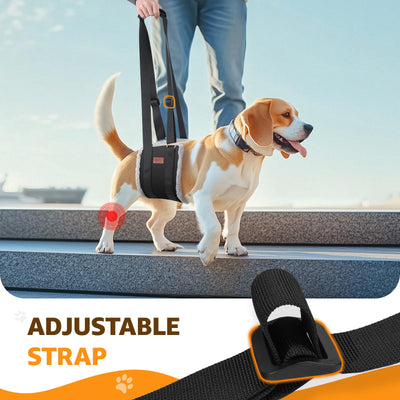 Dog Lift Harness for Hind Legs - Adjustable Support Sling for Large Dogs & Senior Pets