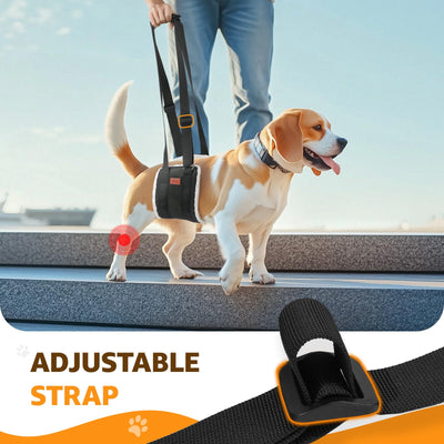 Dog Lift Harness for Hind Legs - Adjustable Support Sling for Large Dogs & Senior Pets