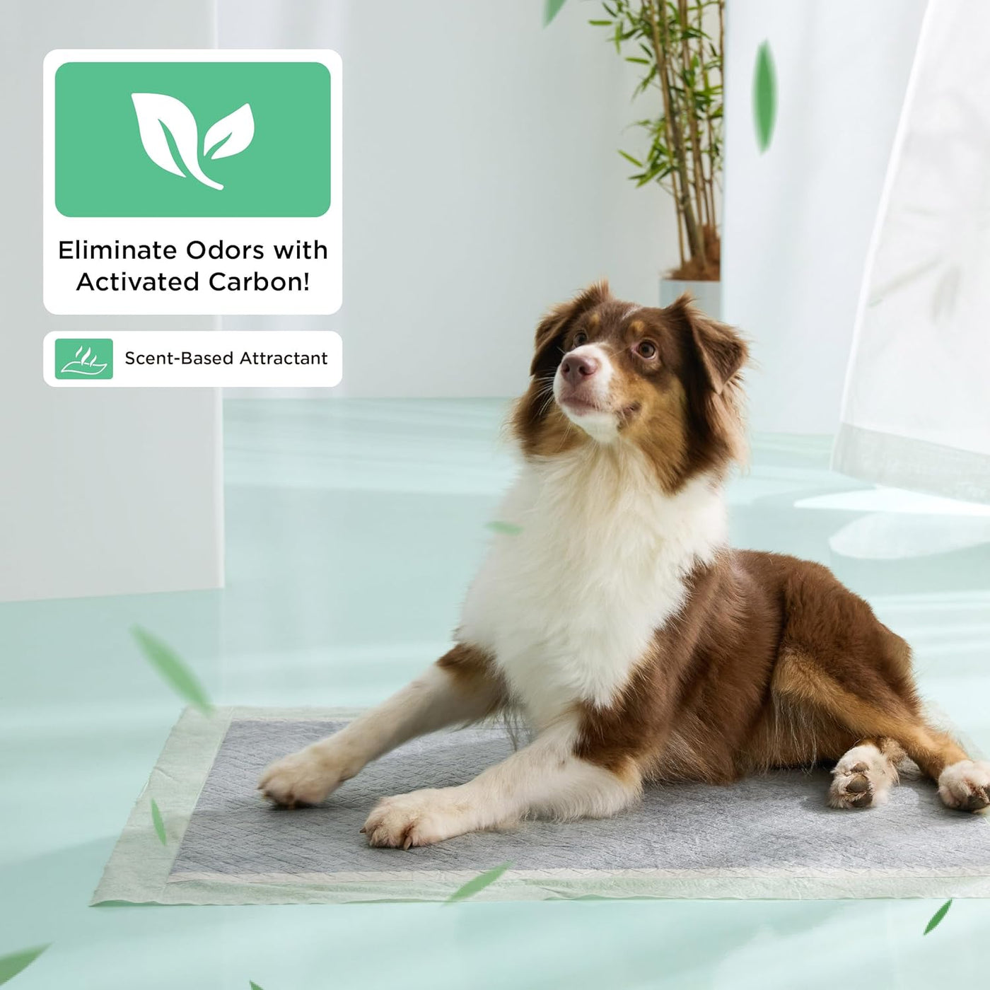 Bedsure Pee Pads for Extra Large Dogs, 28" x 34" Puppy Pee Pads 52 Count, Super Absorbent Dog Training Pads for Large Dogs, Quick Dry Pet Potty Pads with Odor-Control Carbon & Scent-Based Attractant