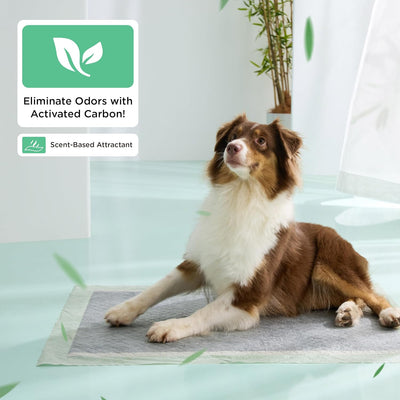 Bedsure Pee Pads for Extra Large Dogs, 28" x 34" Puppy Pee Pads 52 Count, Super Absorbent Dog Training Pads for Large Dogs, Quick Dry Pet Potty Pads with Odor-Control Carbon & Scent-Based Attractant